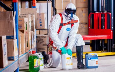 REAL DECRETO 427/2021, DE 15 DE JUNIO, POR EL QUE SE MODIFICA EL REAL DECRETO 665/1997, DE 12 DE MAYO, SOBRE LA PROTECCIÓN DE LOS TRABAJADORES CONTRA LOS RIESGOS RELACIONADOS CON LA EXPOSICIÓN A AGENTES CANCERÍGENOS DURANTE EL TRABAJO