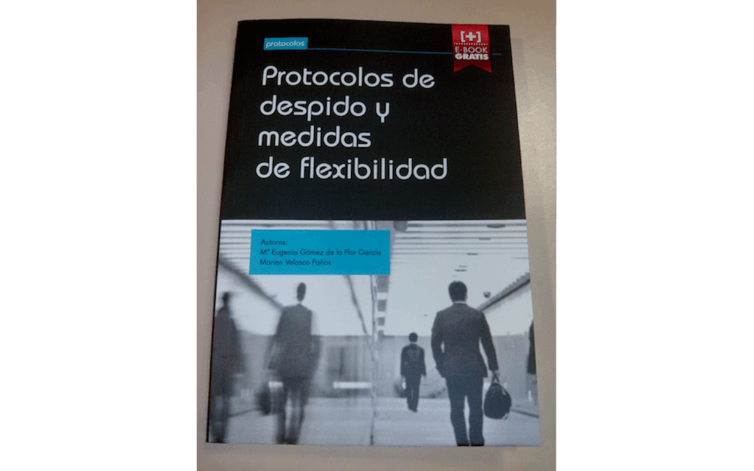 PROTOCOLO DE DESPIDOS Y MEDIDAS DE FLEXIBILIDAD